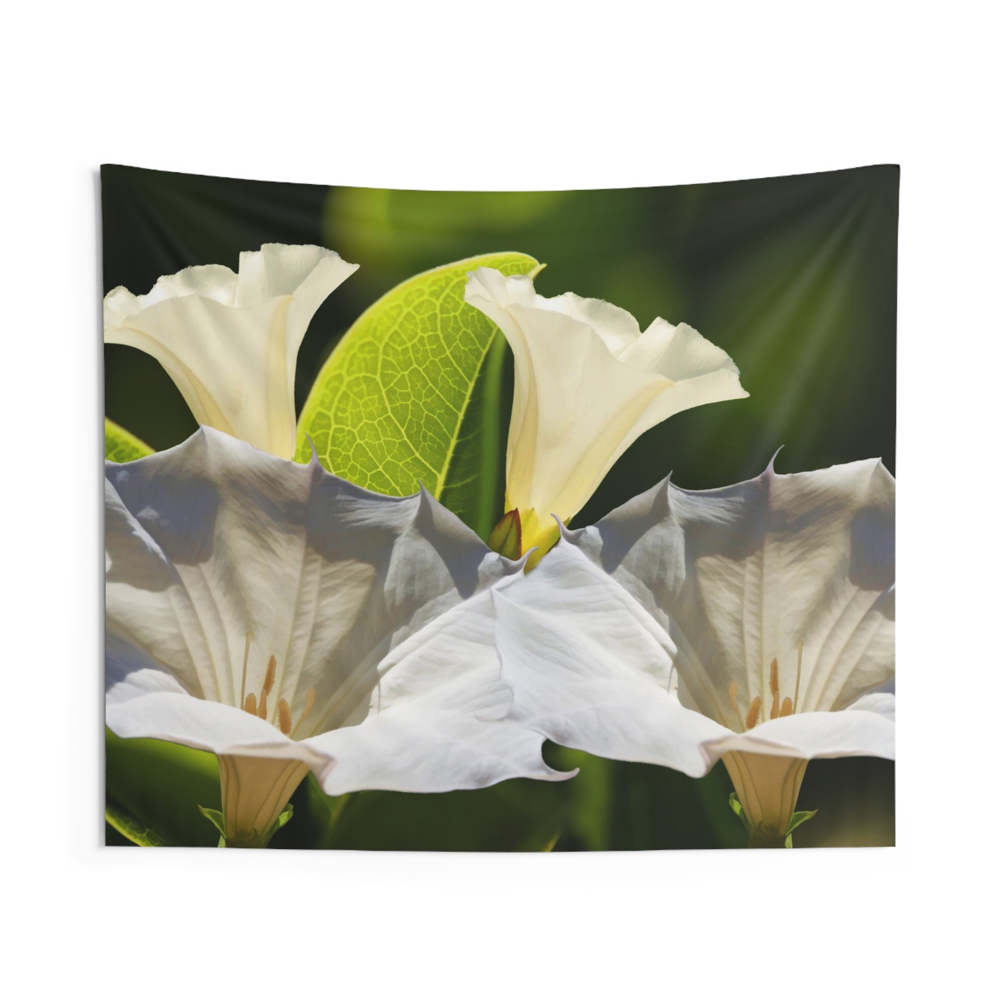 White Jimseed Tapestry-0