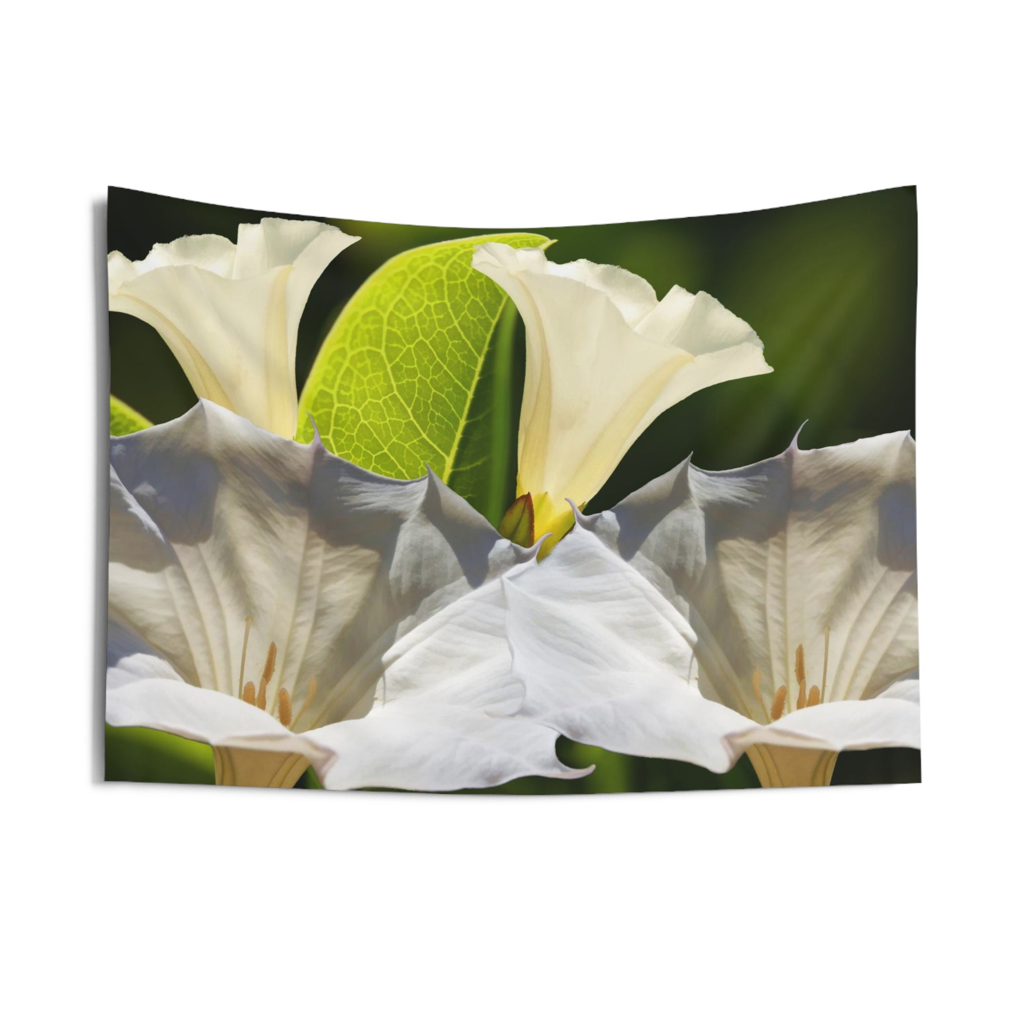 White Jimseed Tapestry-2