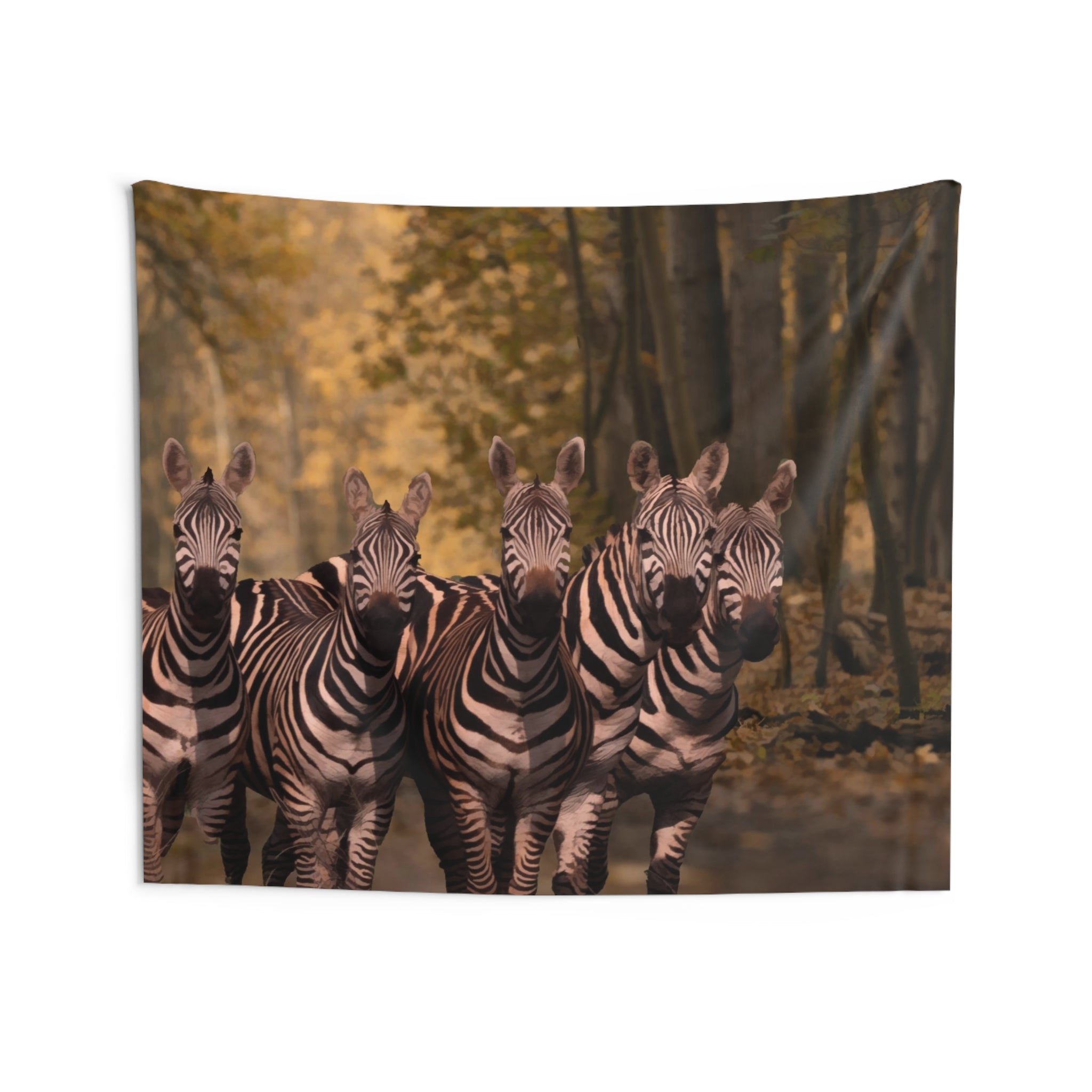 Dazzle Zebra Tapestry-3