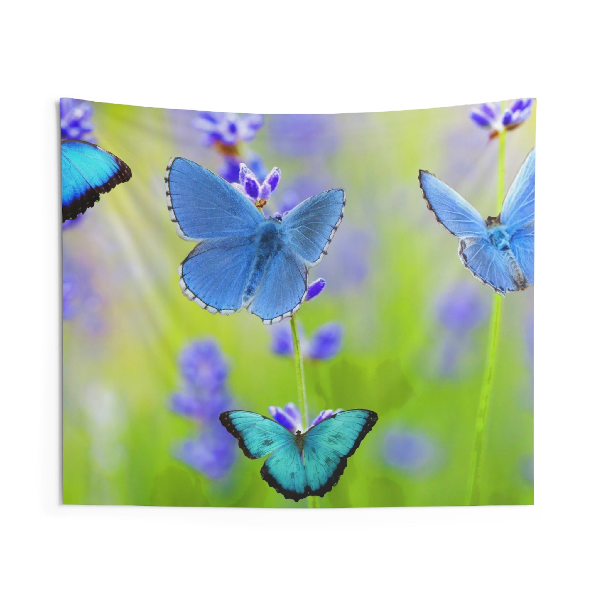 Blue Butterfly Tapestry-0