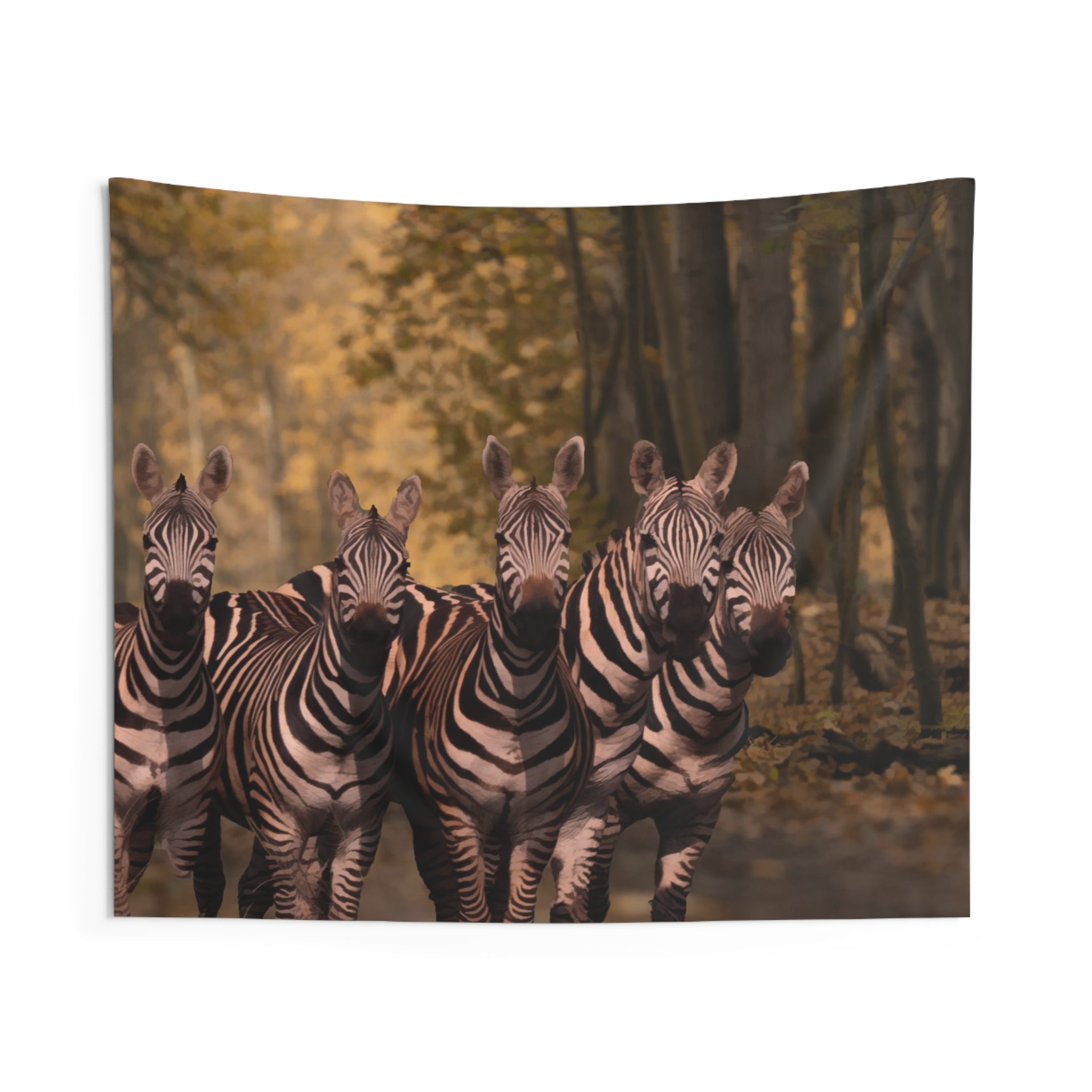 Dazzle Zebra Tapestry-0