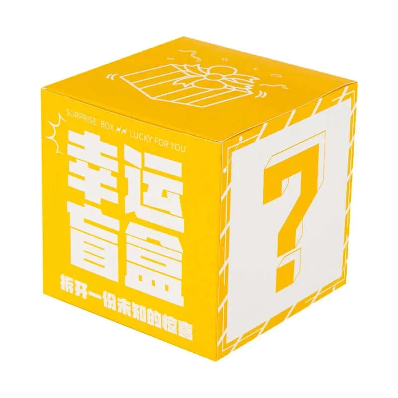 Monthly Brick Blind Box-4