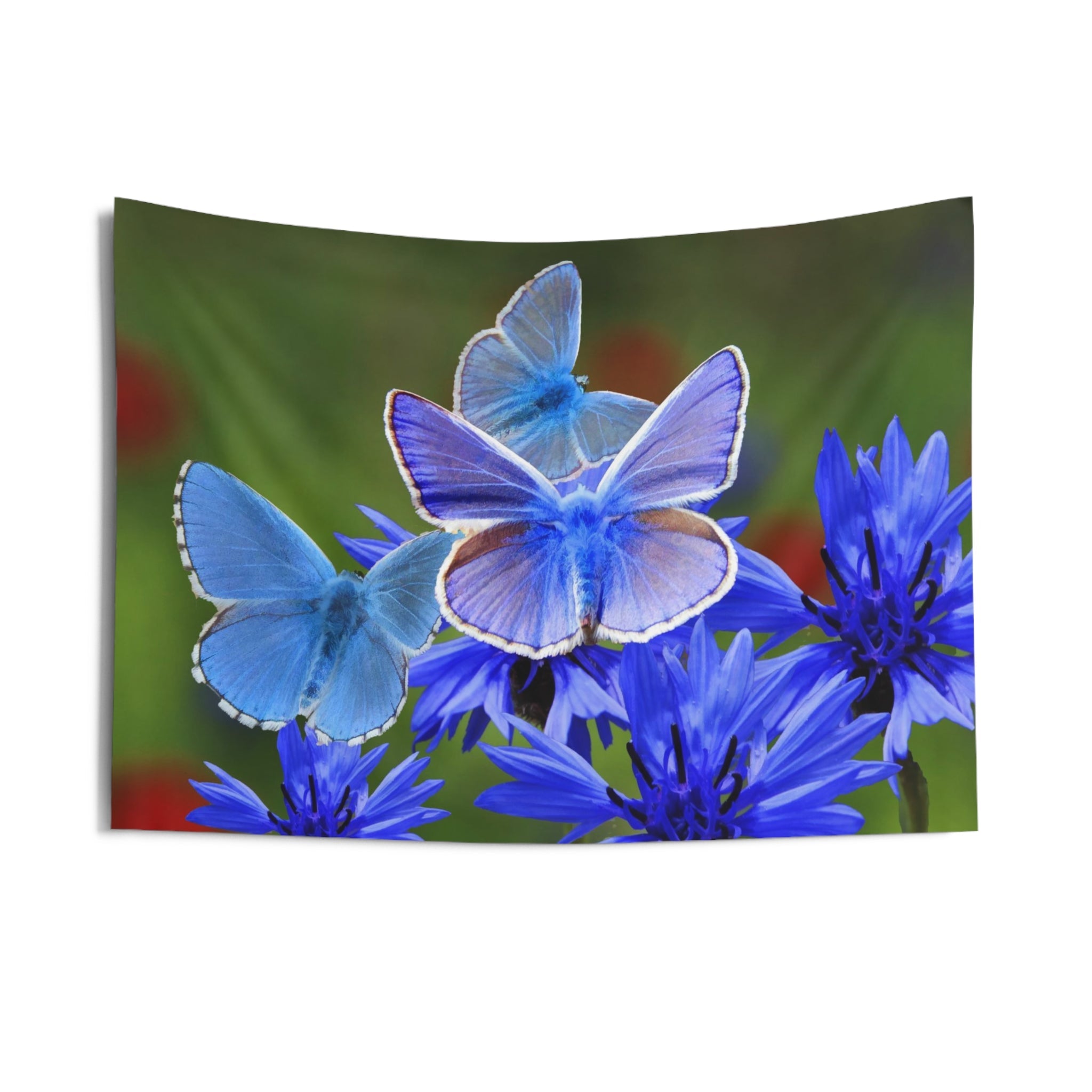 Blue And White Butterfly Tapestry-2