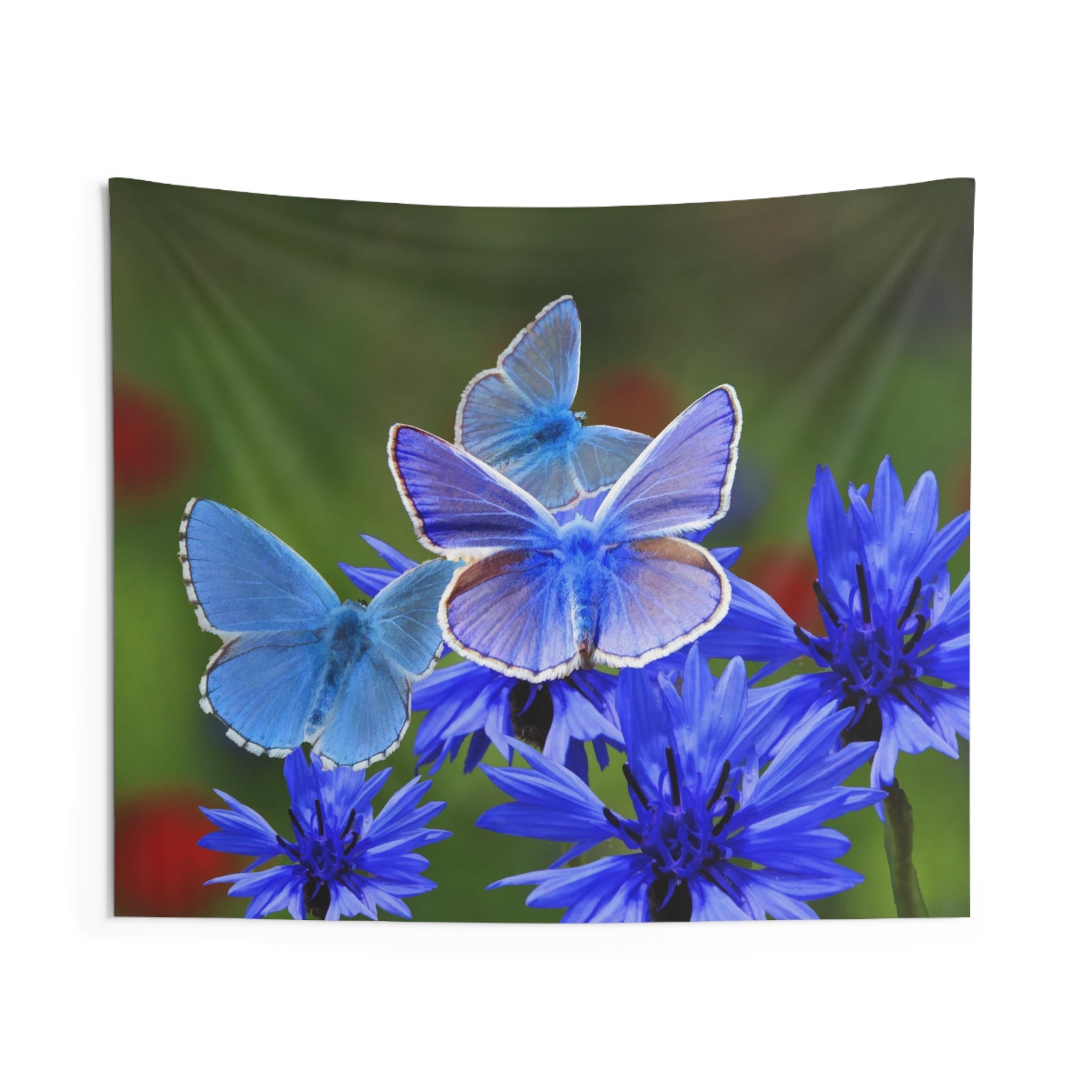 Blue And White Butterfly Tapestry-0