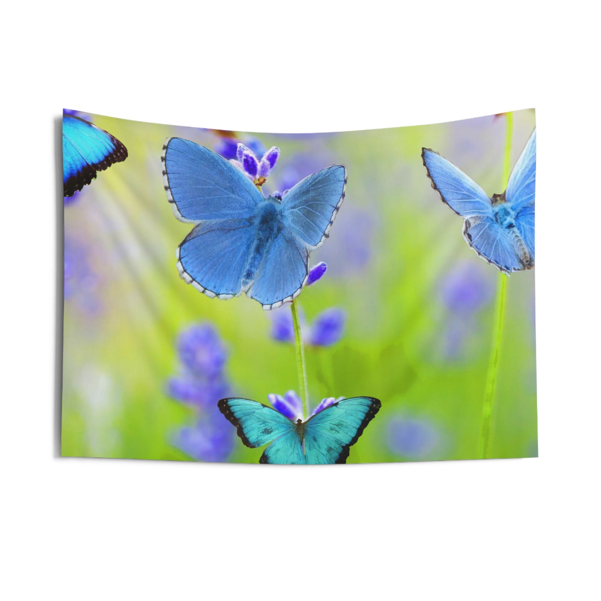 Blue Butterfly Tapestry-2