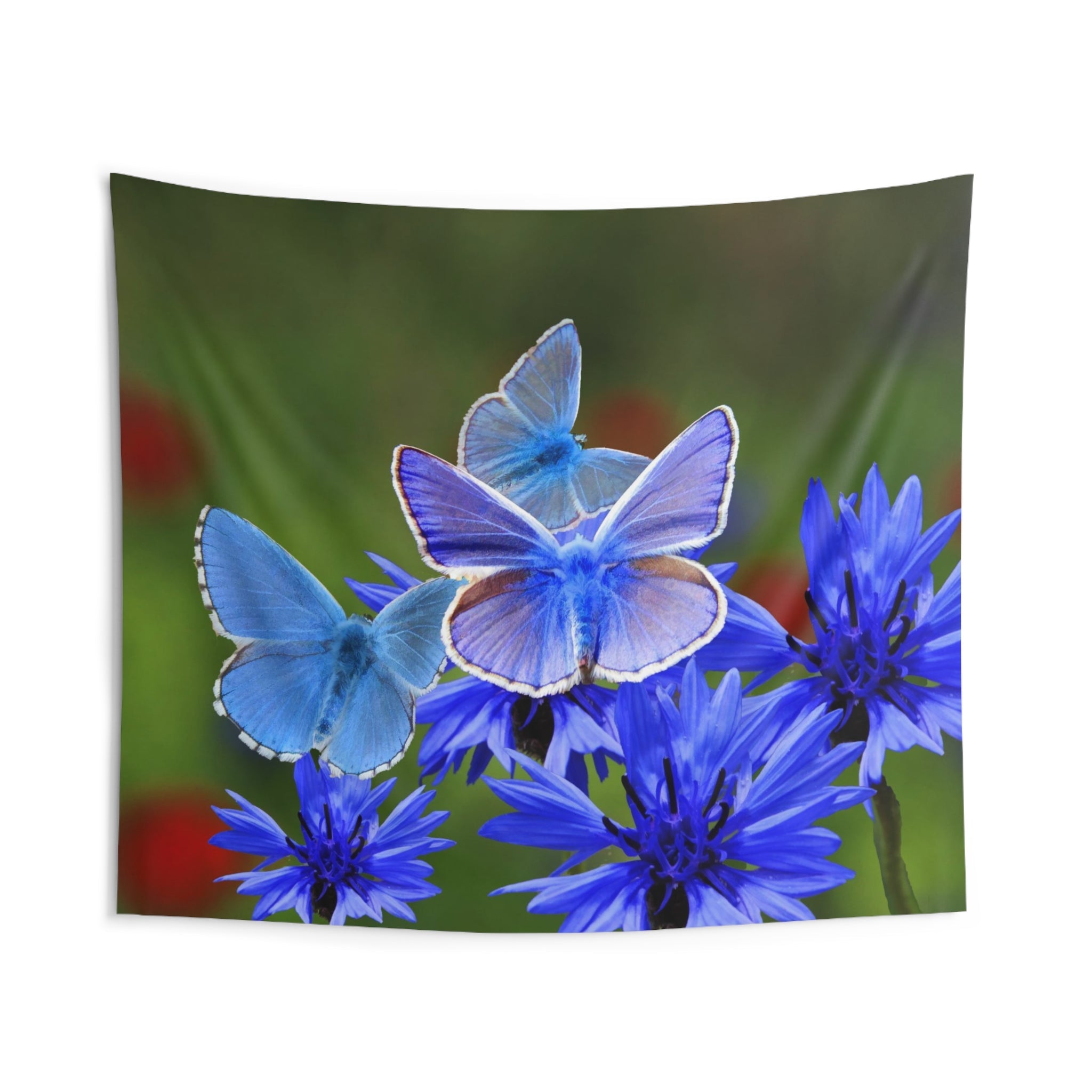 Blue And White Butterfly Tapestry-1