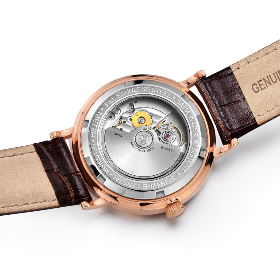 MEGIR Luxury Automatic Mechanical Watch for Men Large Dial Sapphire Leather Strap Male Wristwatch Sports Waterproof Date Clock 62012-12