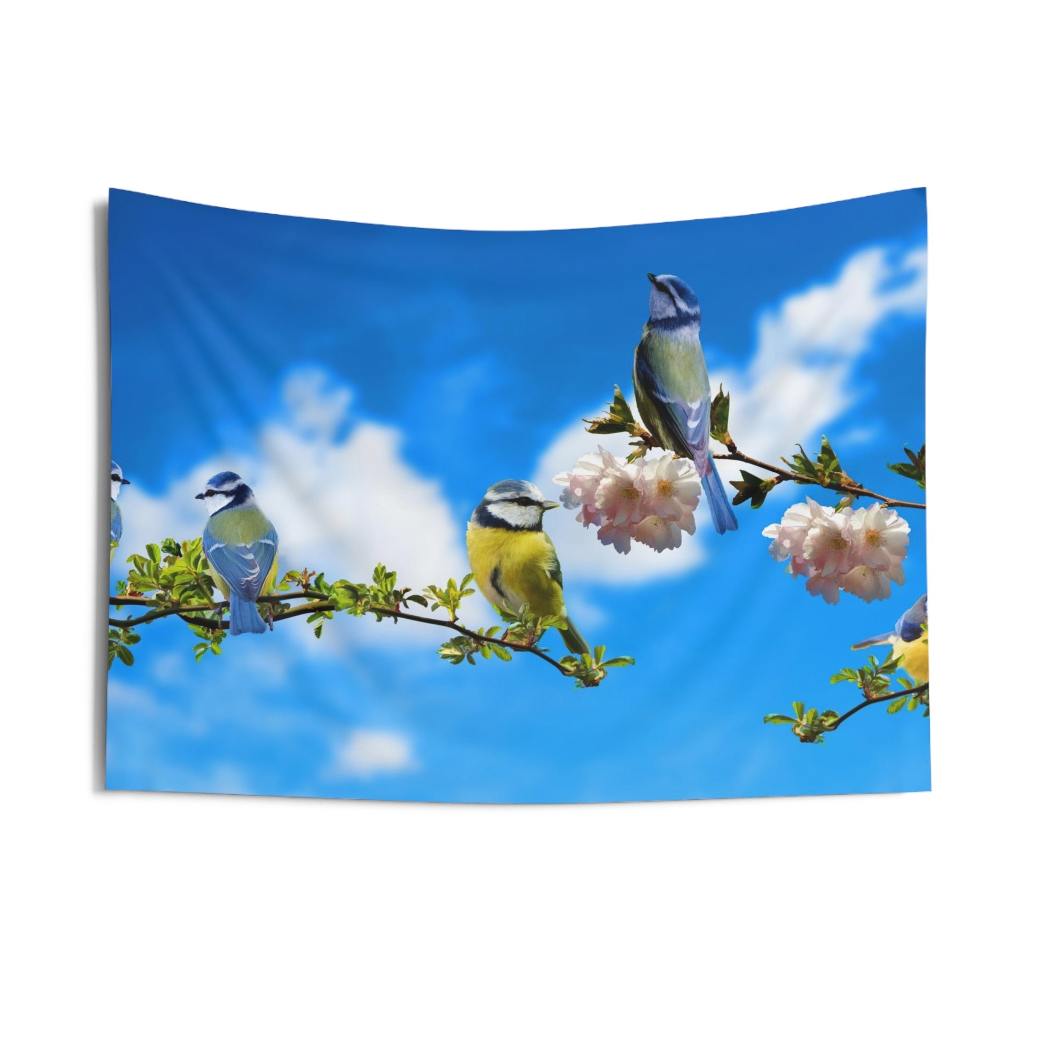 Bird And Sky Tapestry-2