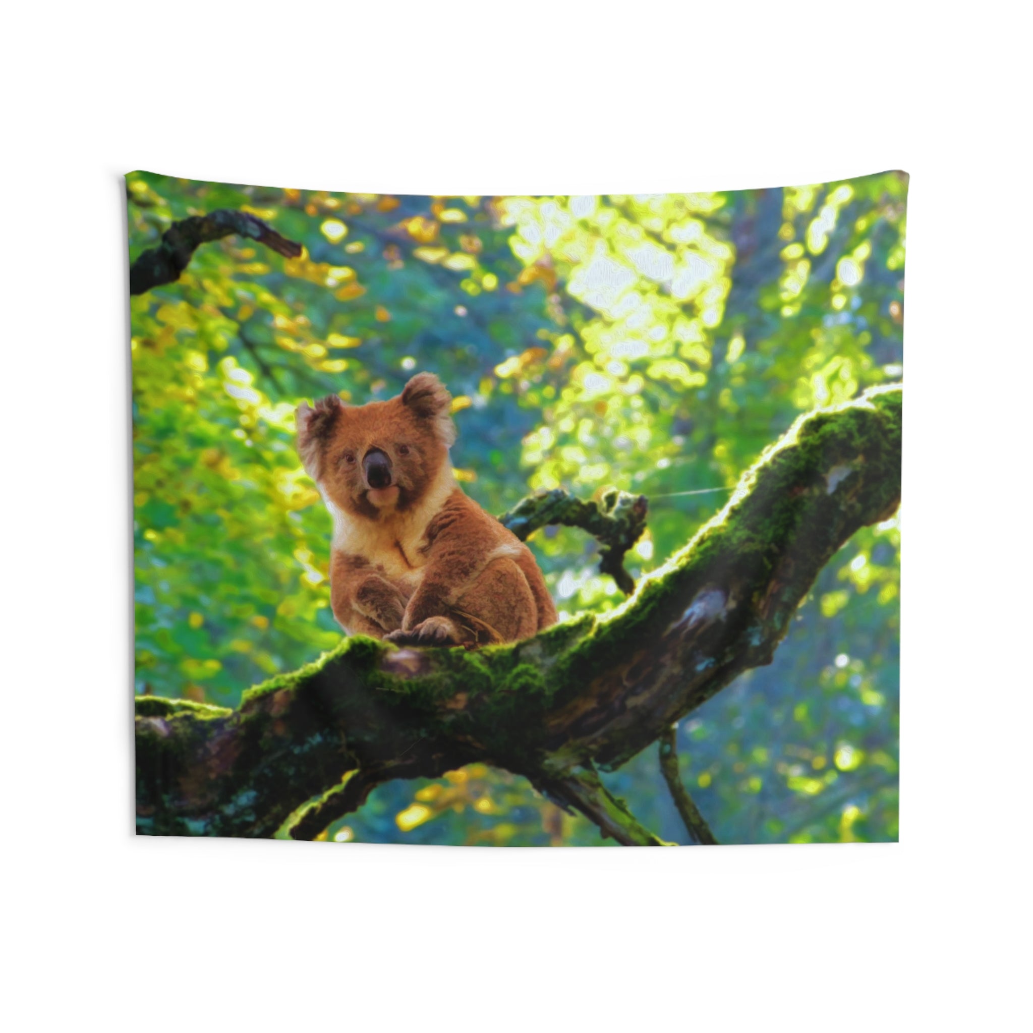 Koala On Tree Tapestry-3