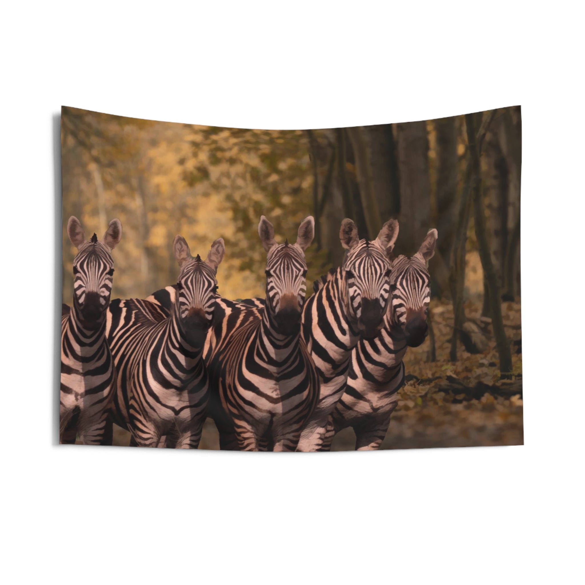 Dazzle Zebra Tapestry-2