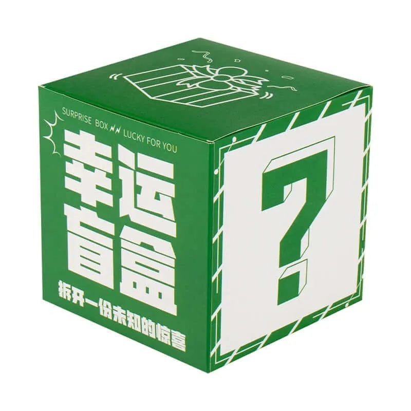 Monthly Brick Blind Box-2