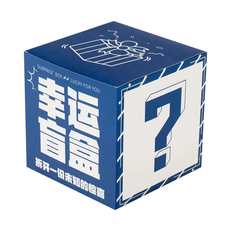 Monthly Brick Blind Box-3