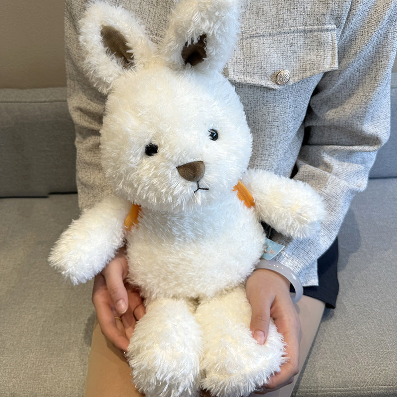 Adorable Plush Toy Dog Doll Collection-7