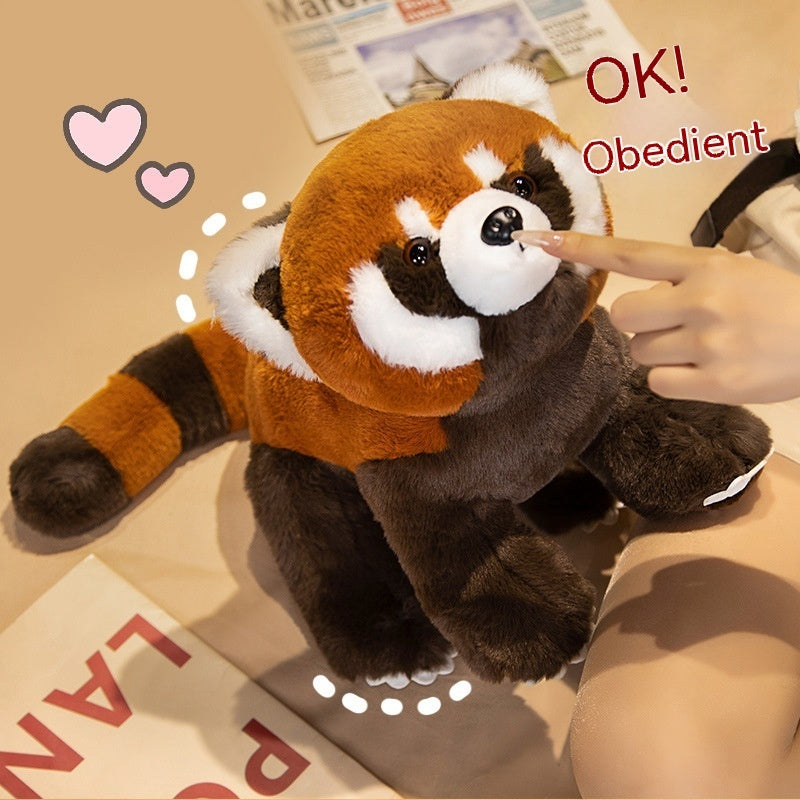 Coati Plush Toy Collection-2