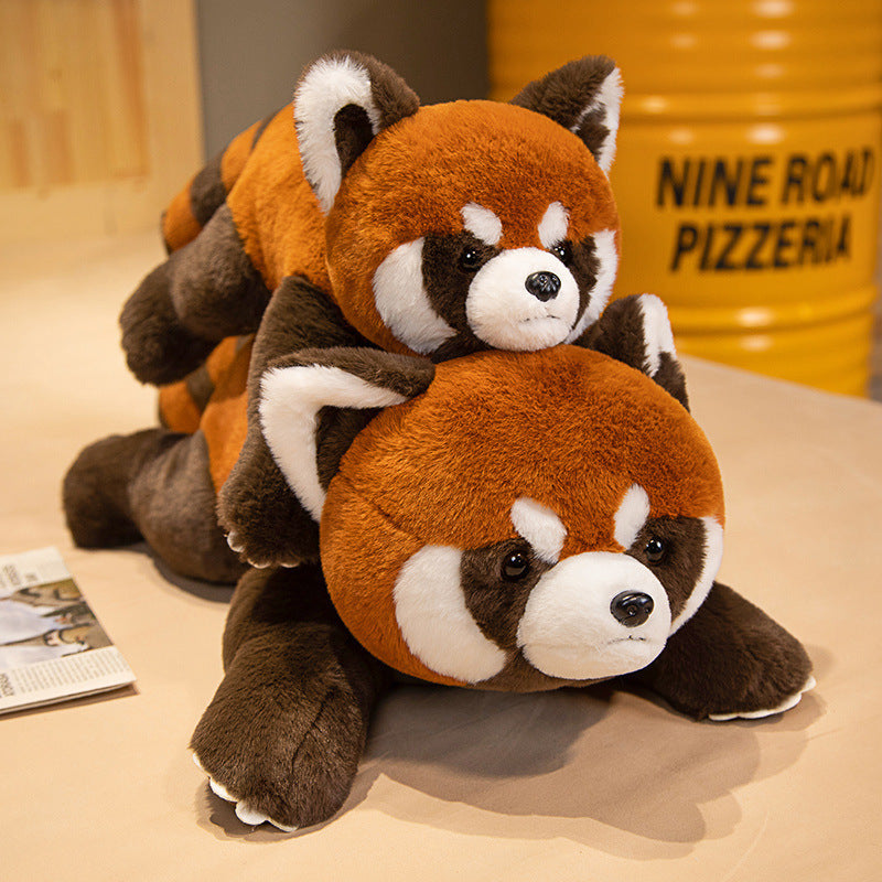 Coati Plush Toy Collection-3