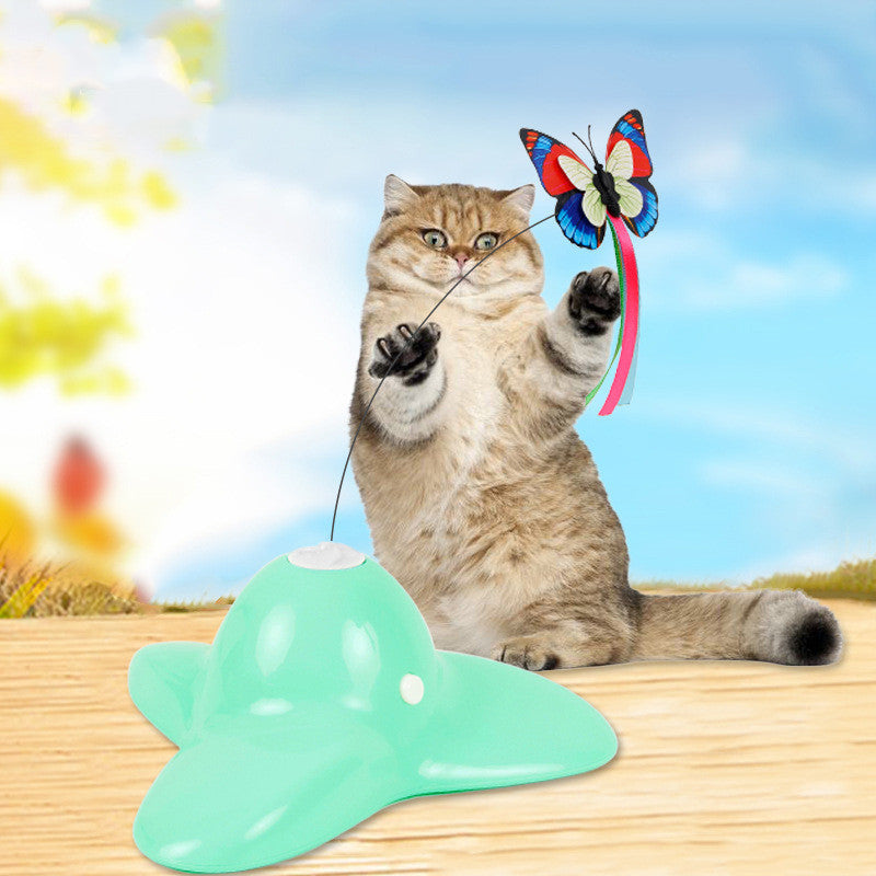 Engaging Cat Toys for Entertaining Learning-0