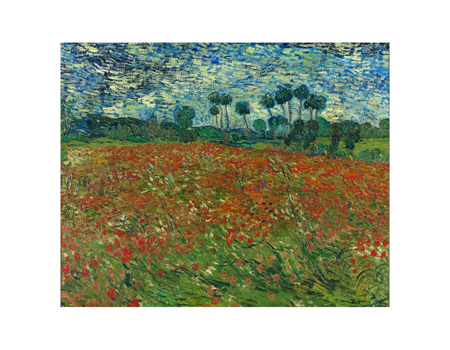 Poppy Field By Vincent Van Gogh Canvas Print-0