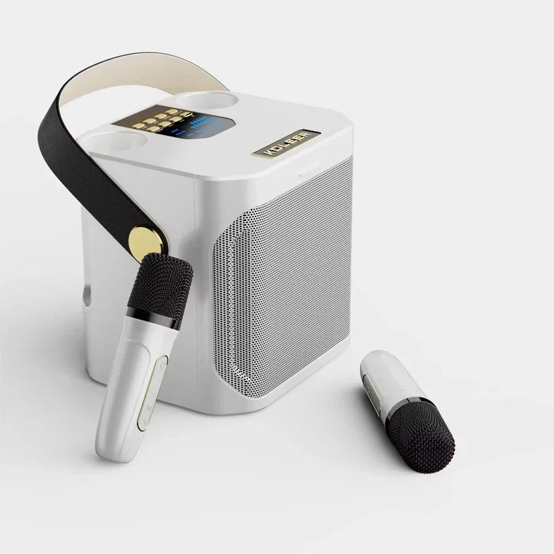 High Power Karaoke Bluetooth Speaker with Dual Microphone-2