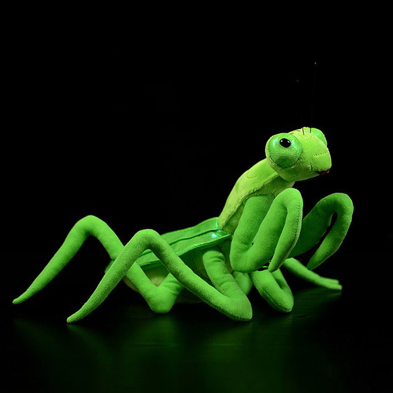 Praying Mantis Plush-1