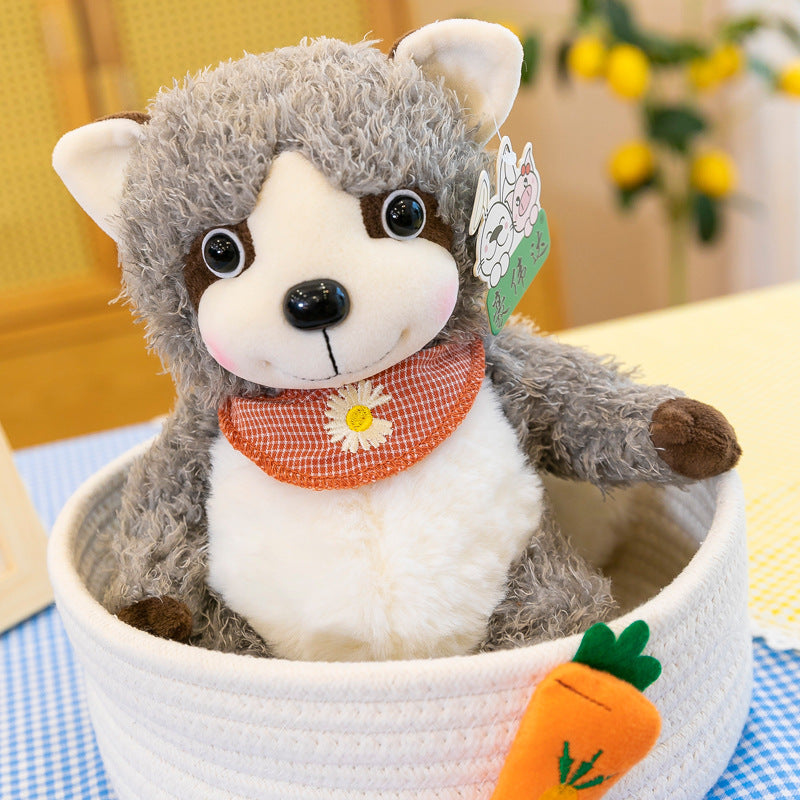 Raccoon Plush Toys-1