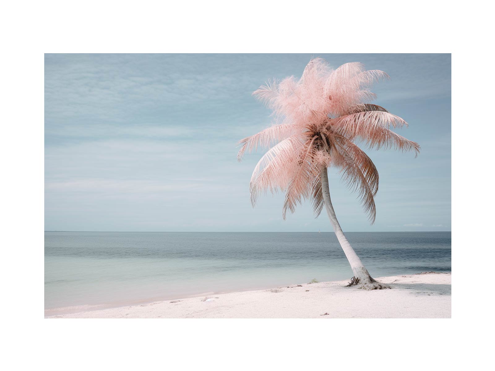 Silver Pink Beach Tree Canvas Art Print-0