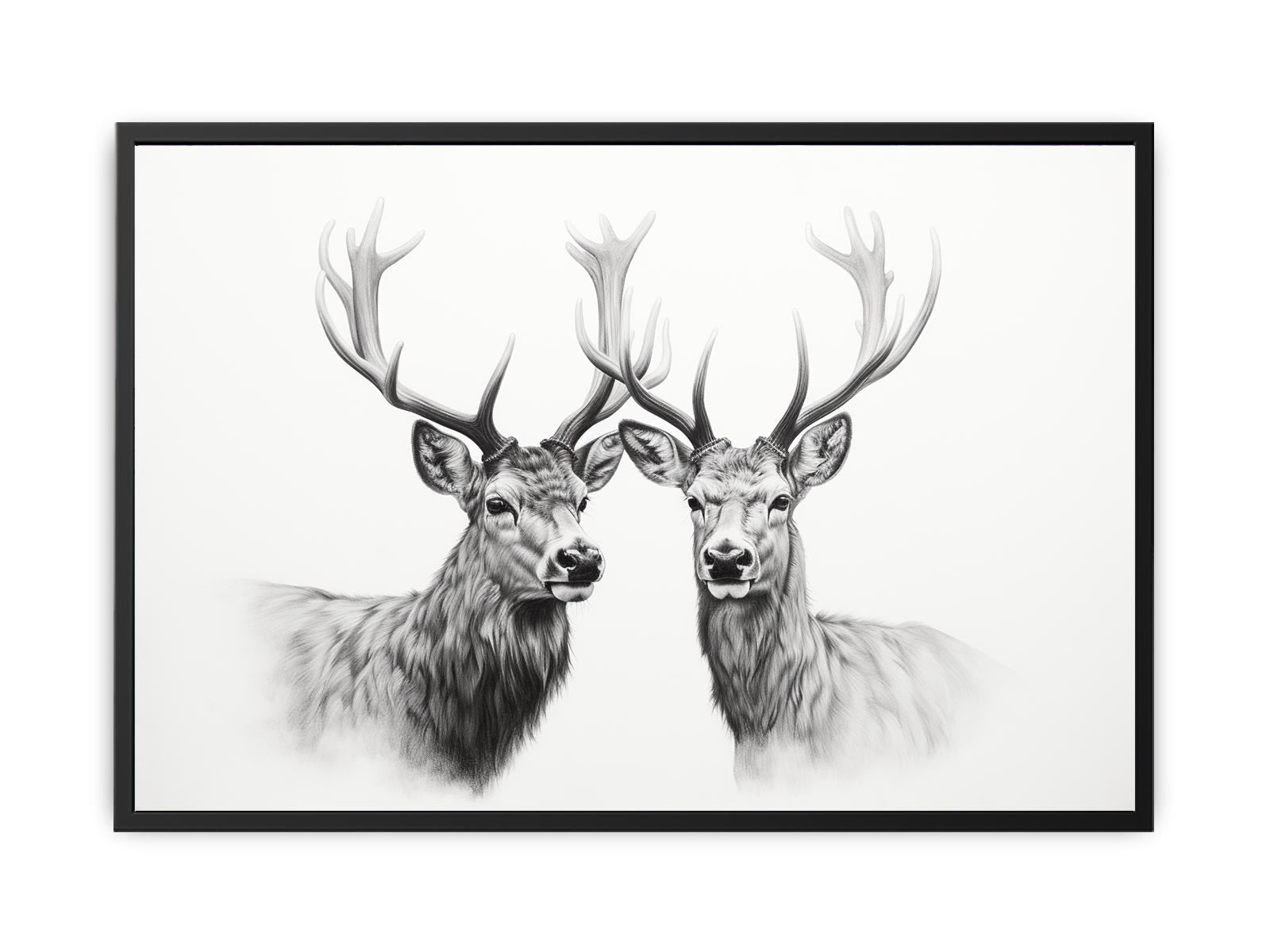 Black And White Deer Canvas Art Print-4