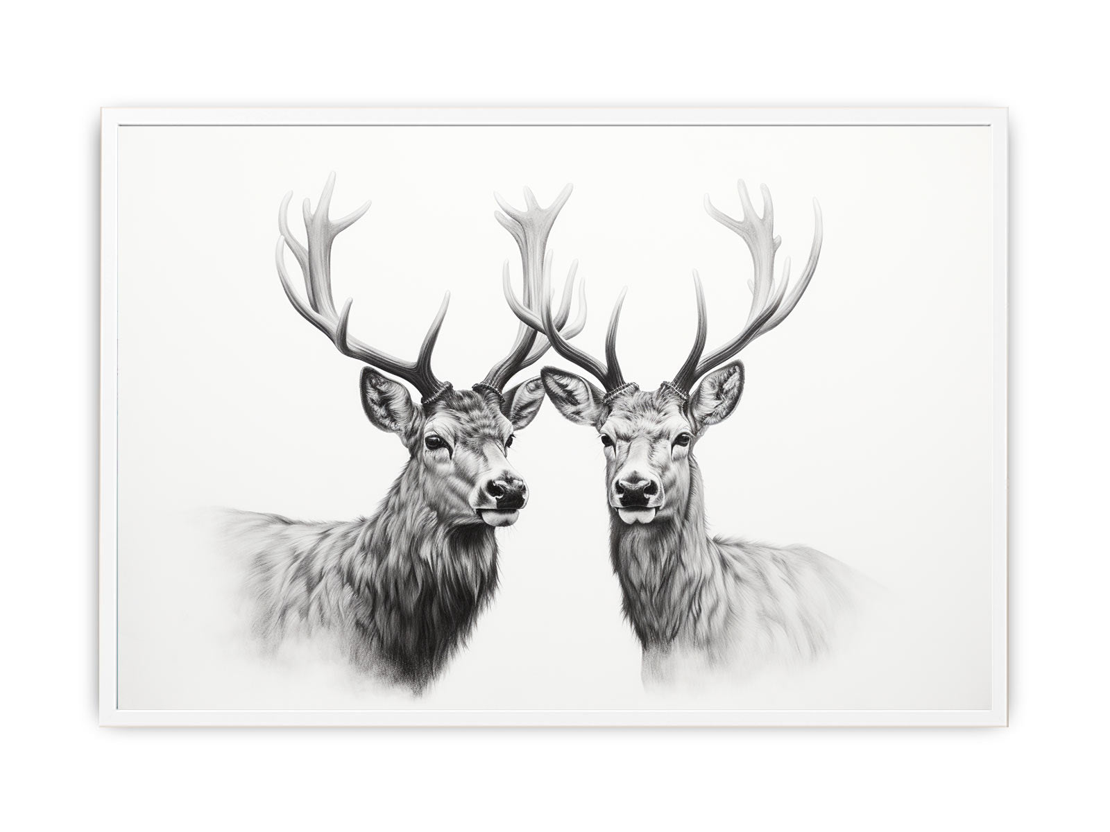 Black And White Deer Canvas Art Print-5
