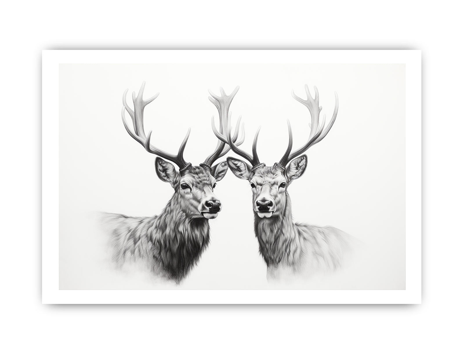Black And White Deer Canvas Art Print-8