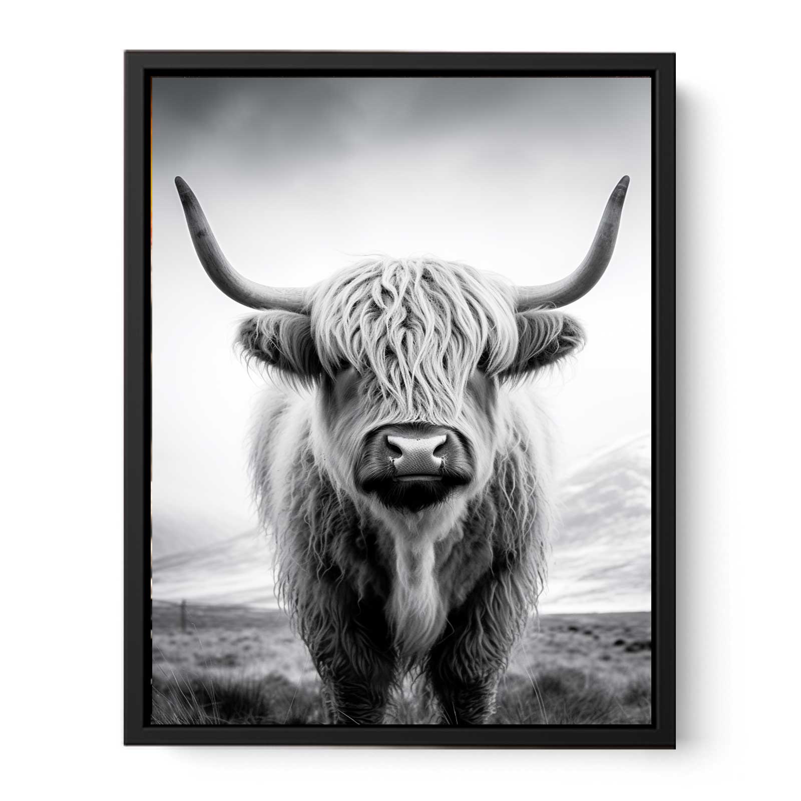 Highland Cow Canvas Art Print Painting-4