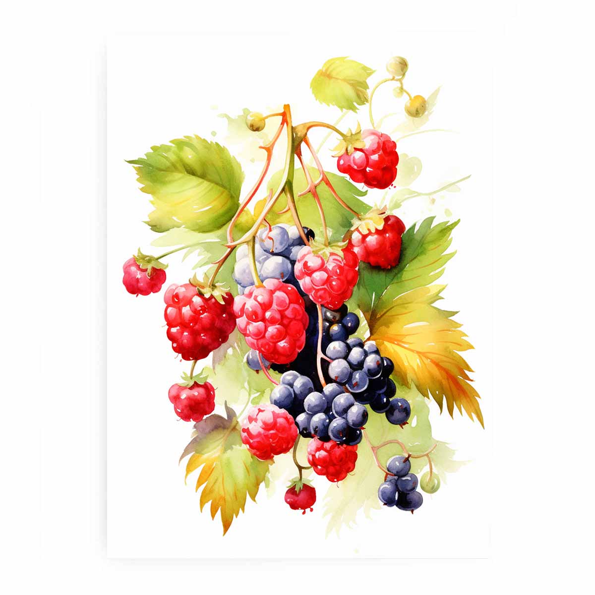 Berries  Canvas painitng  Print-0