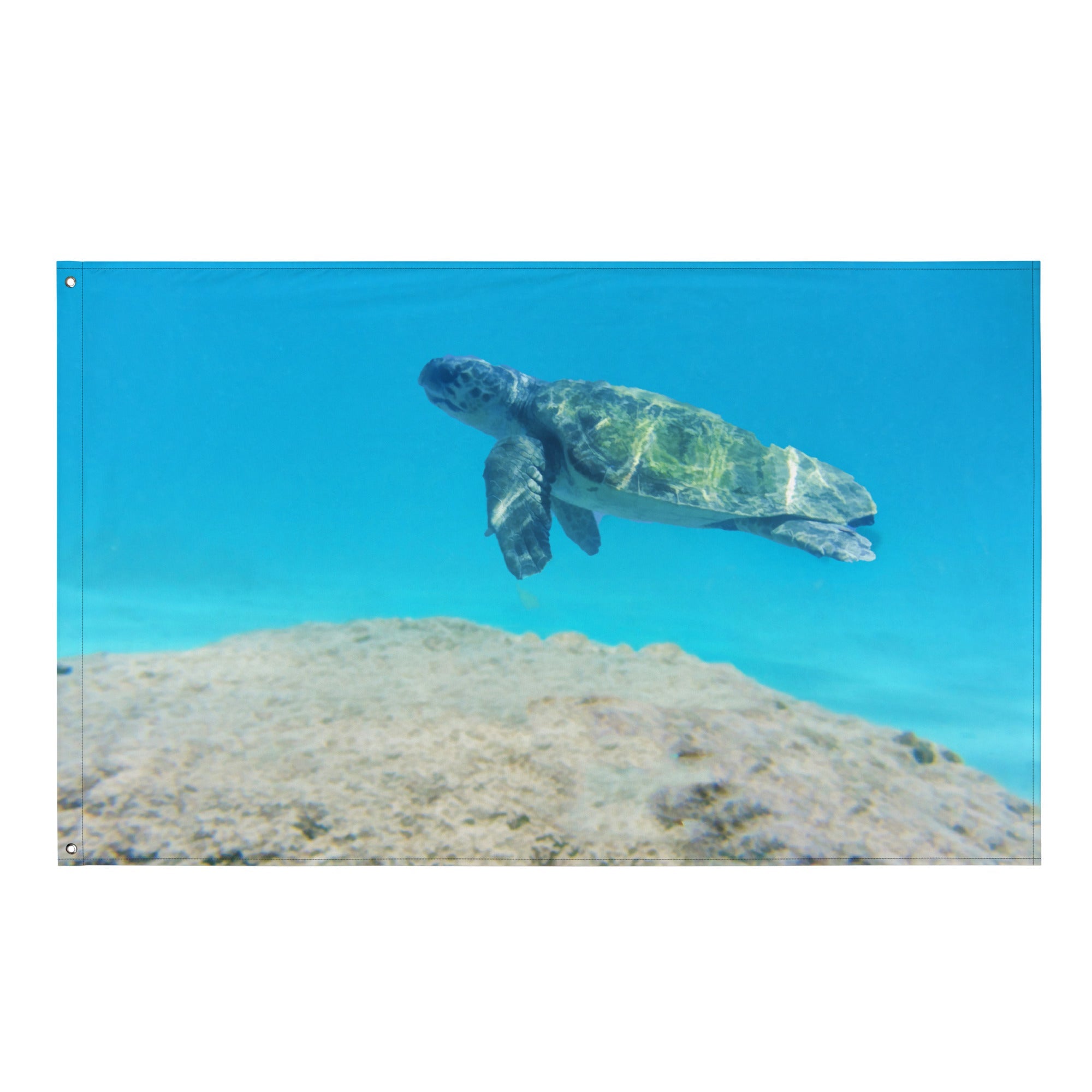 Turtle  Artwork Painting Flag Tapestry-0