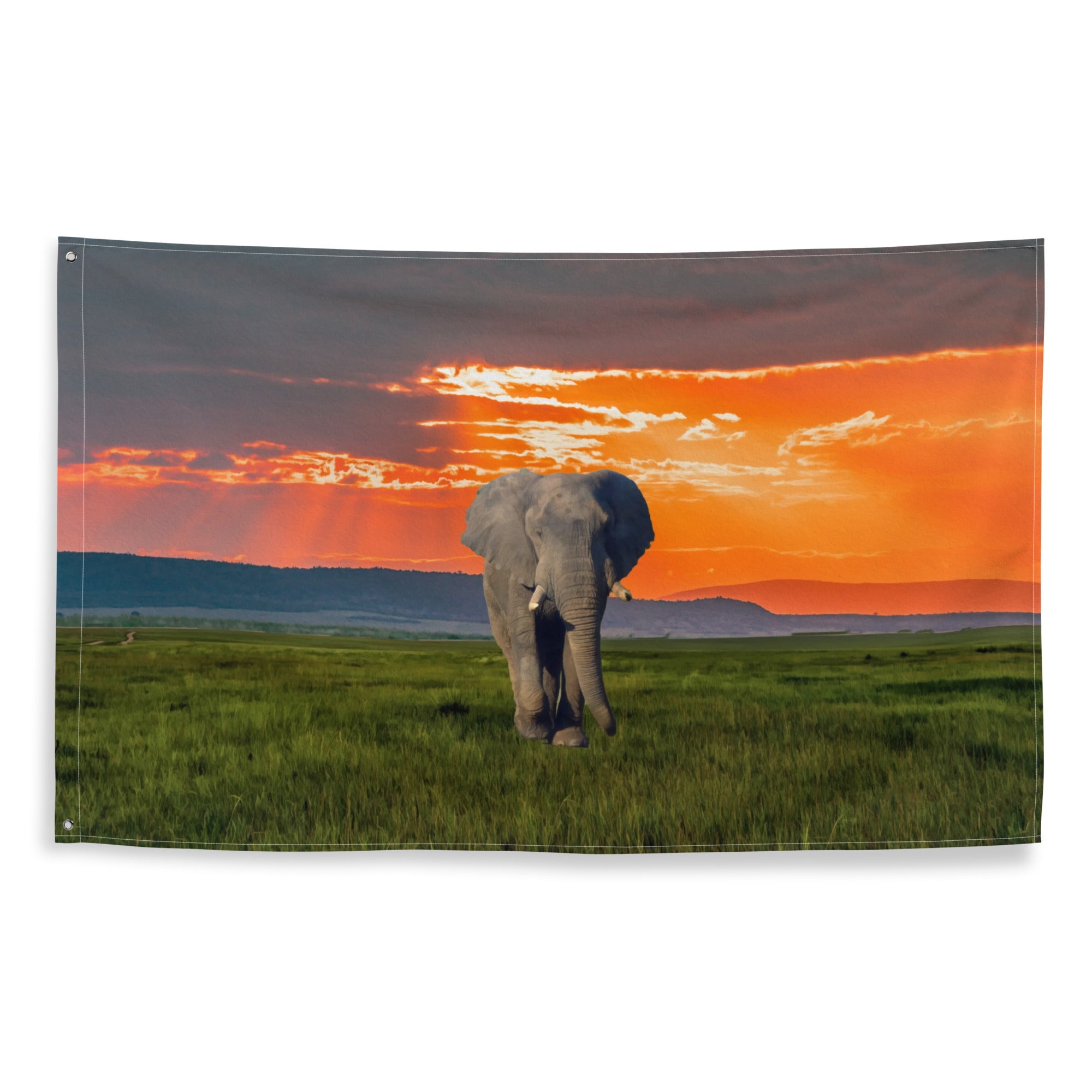 Elephant Art Painting Flag Tapestry-0