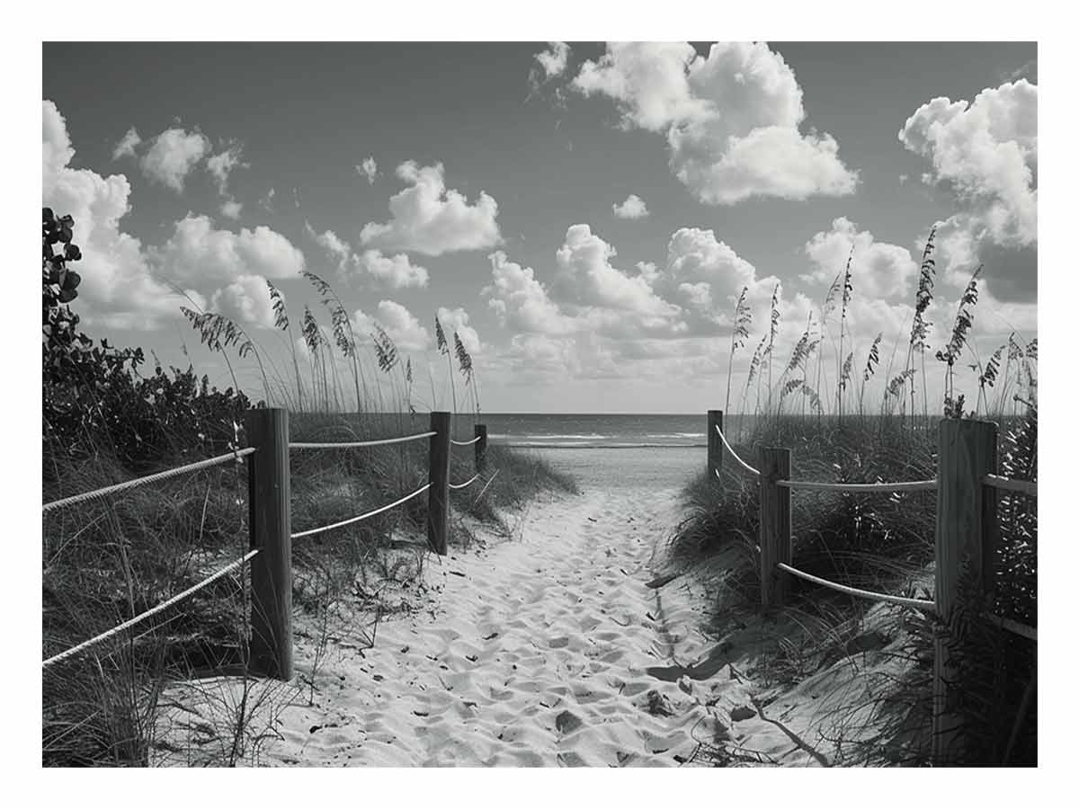 Beach Path Canvas Art Print balck & white Photography-0