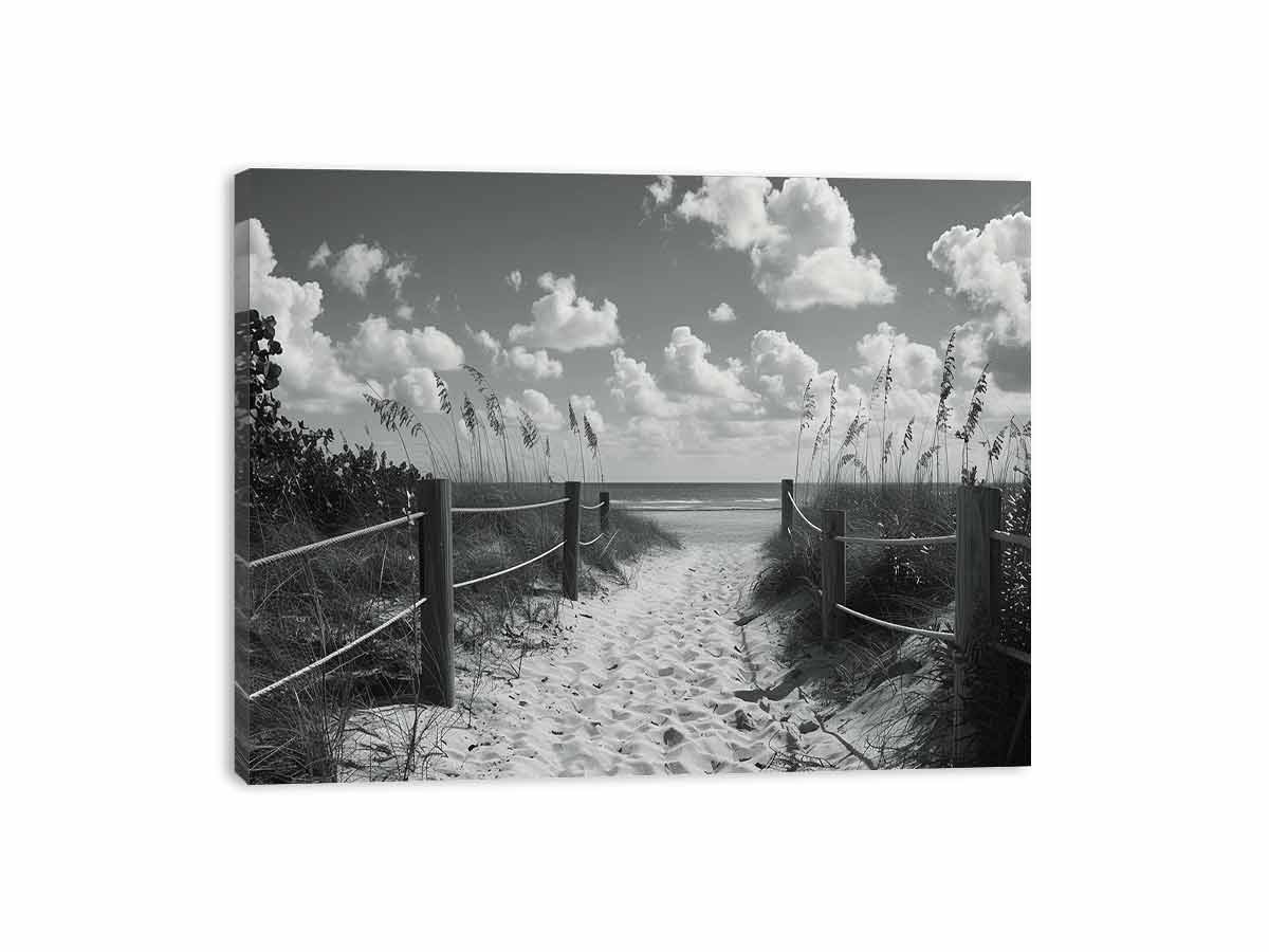 Beach Path Canvas Art Print balck & white Photography-3