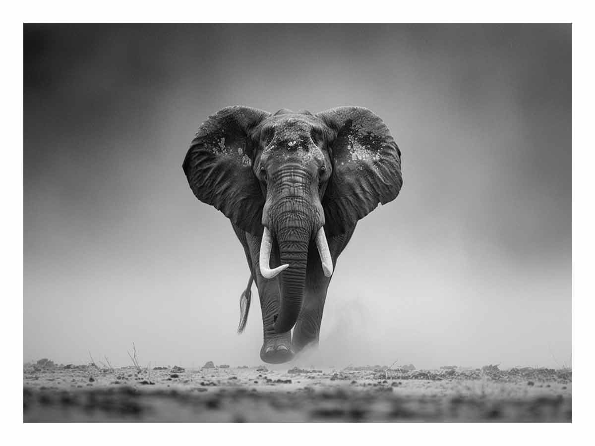 Elepahant Canvas Painting  Print-0