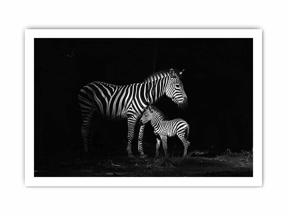 Zebra Mum & Baby black white Photography  Canvas Art Print-8
