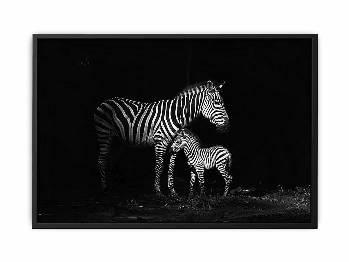Zebra Mum & Baby black white Photography  Canvas Art Print-4