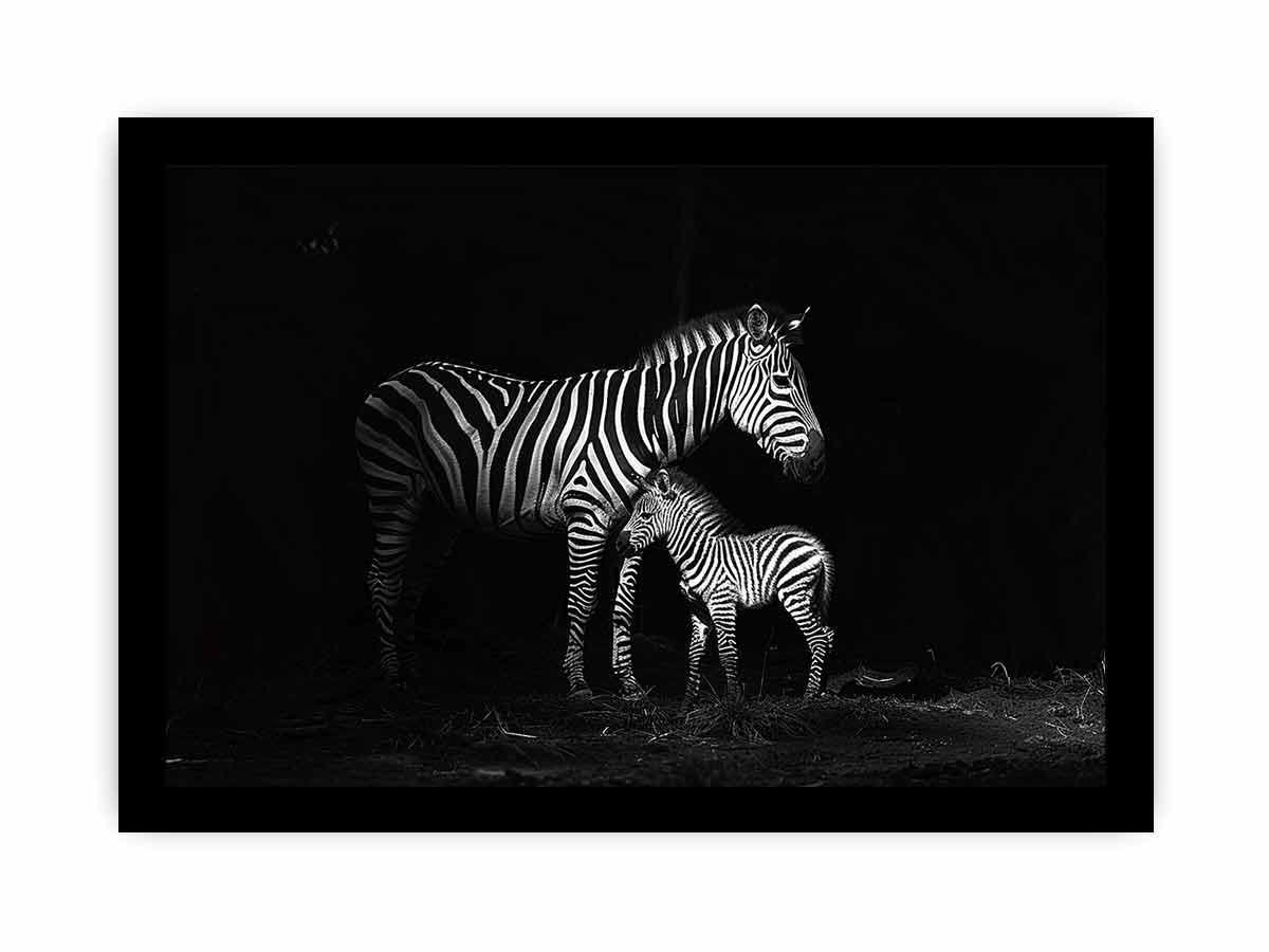 Zebra Mum & Baby black white Photography  Canvas Art Print-7