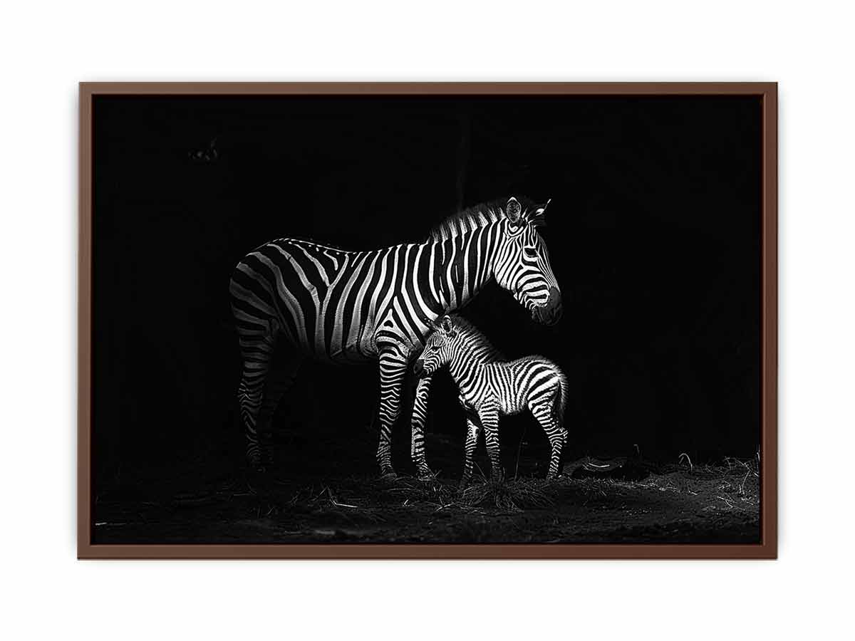 Zebra Mum & Baby black white Photography  Canvas Art Print-6