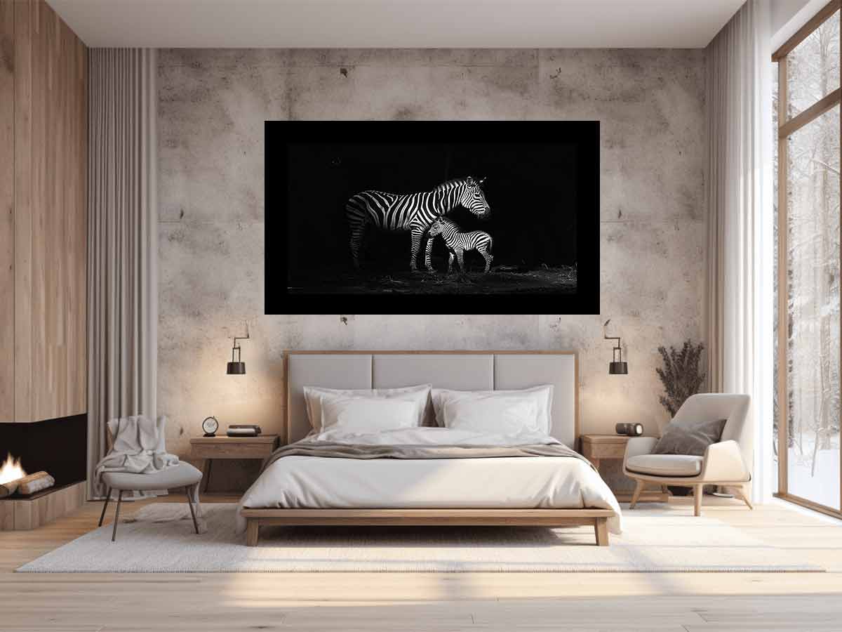 Zebra Mum & Baby black white Photography  Canvas Art Print-1