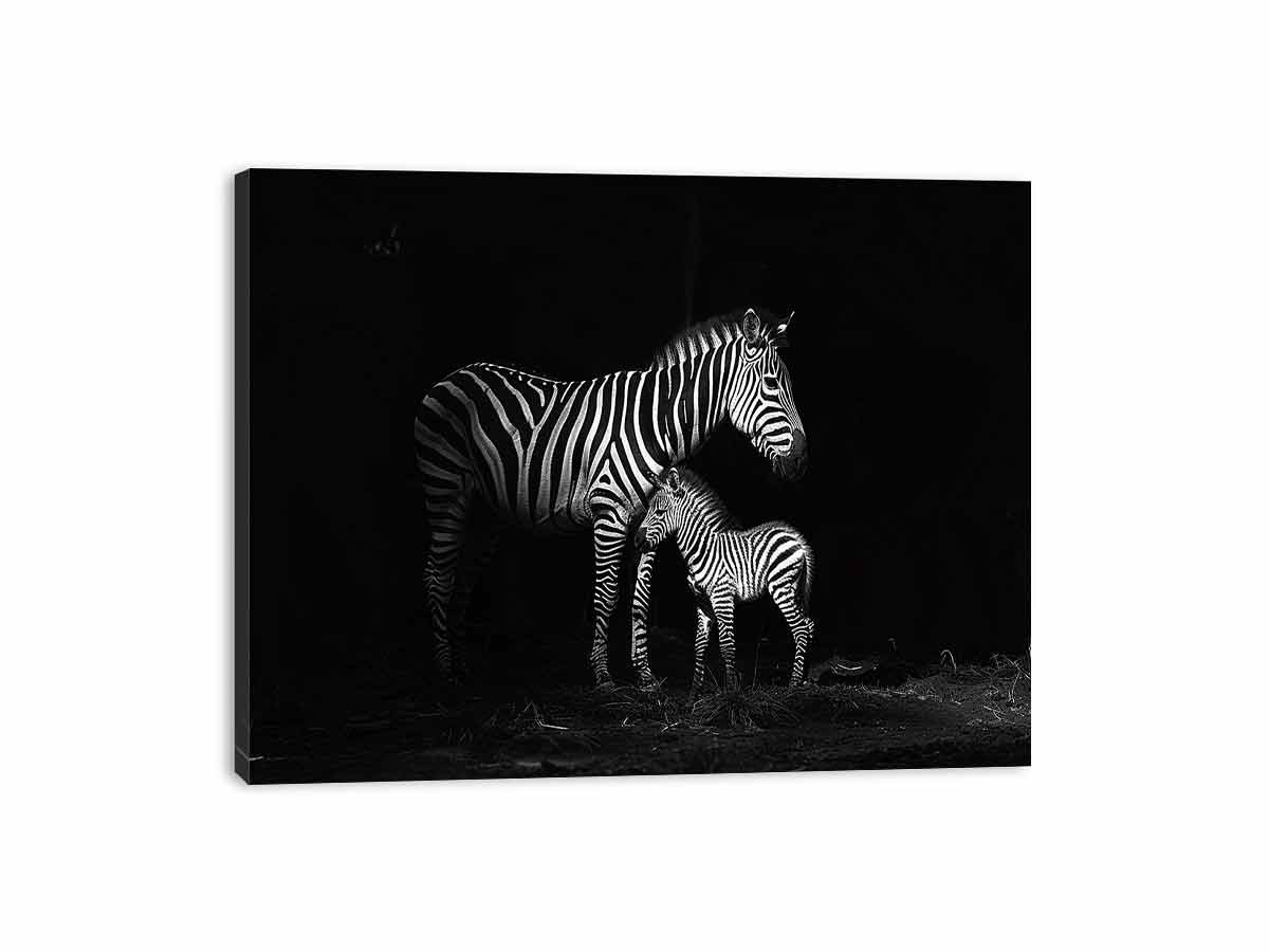 Zebra Mum & Baby black white Photography  Canvas Art Print-3