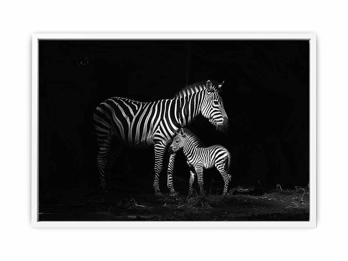 Zebra Mum & Baby black white Photography  Canvas Art Print-5
