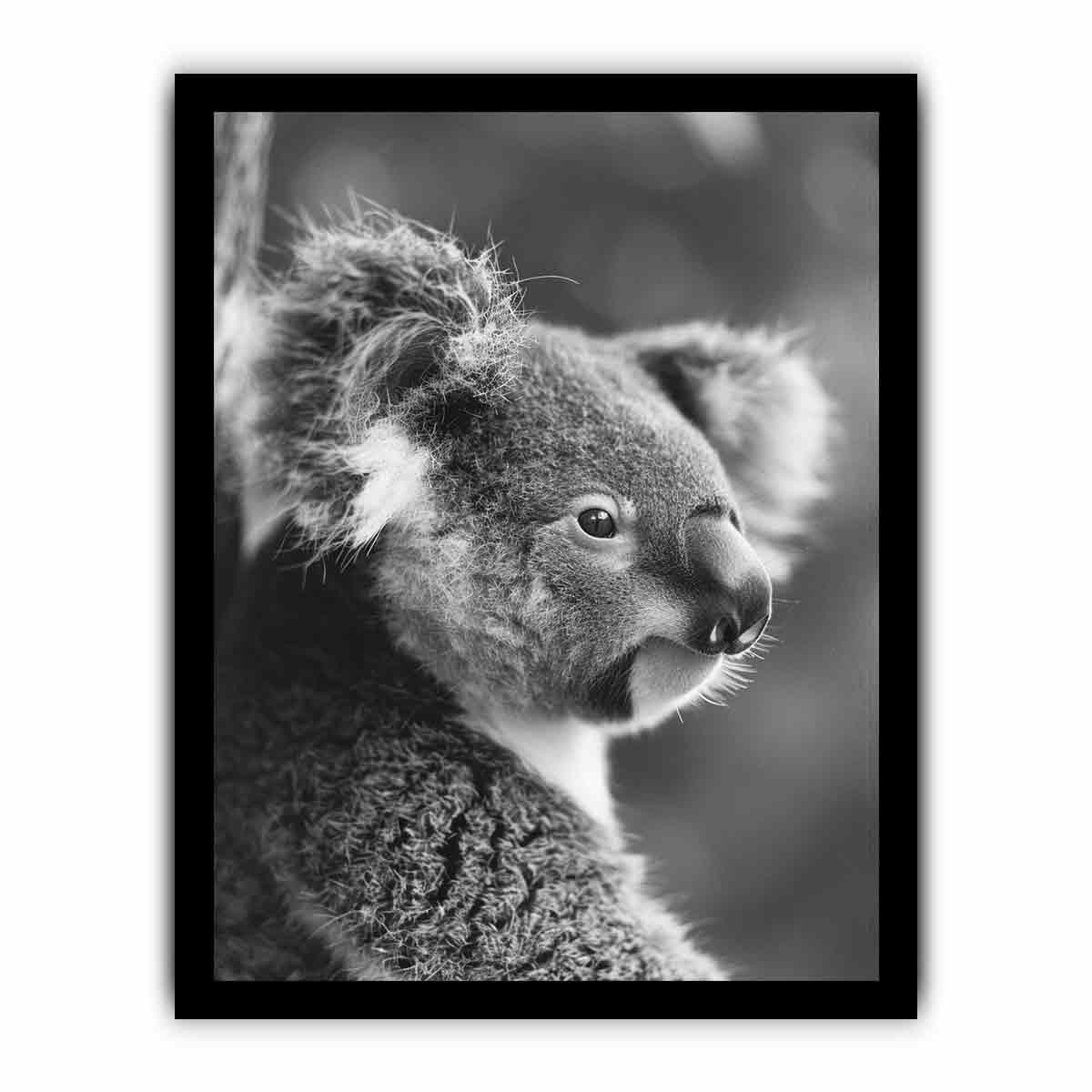 Baby Koala Canvas Art Print Photography art-7