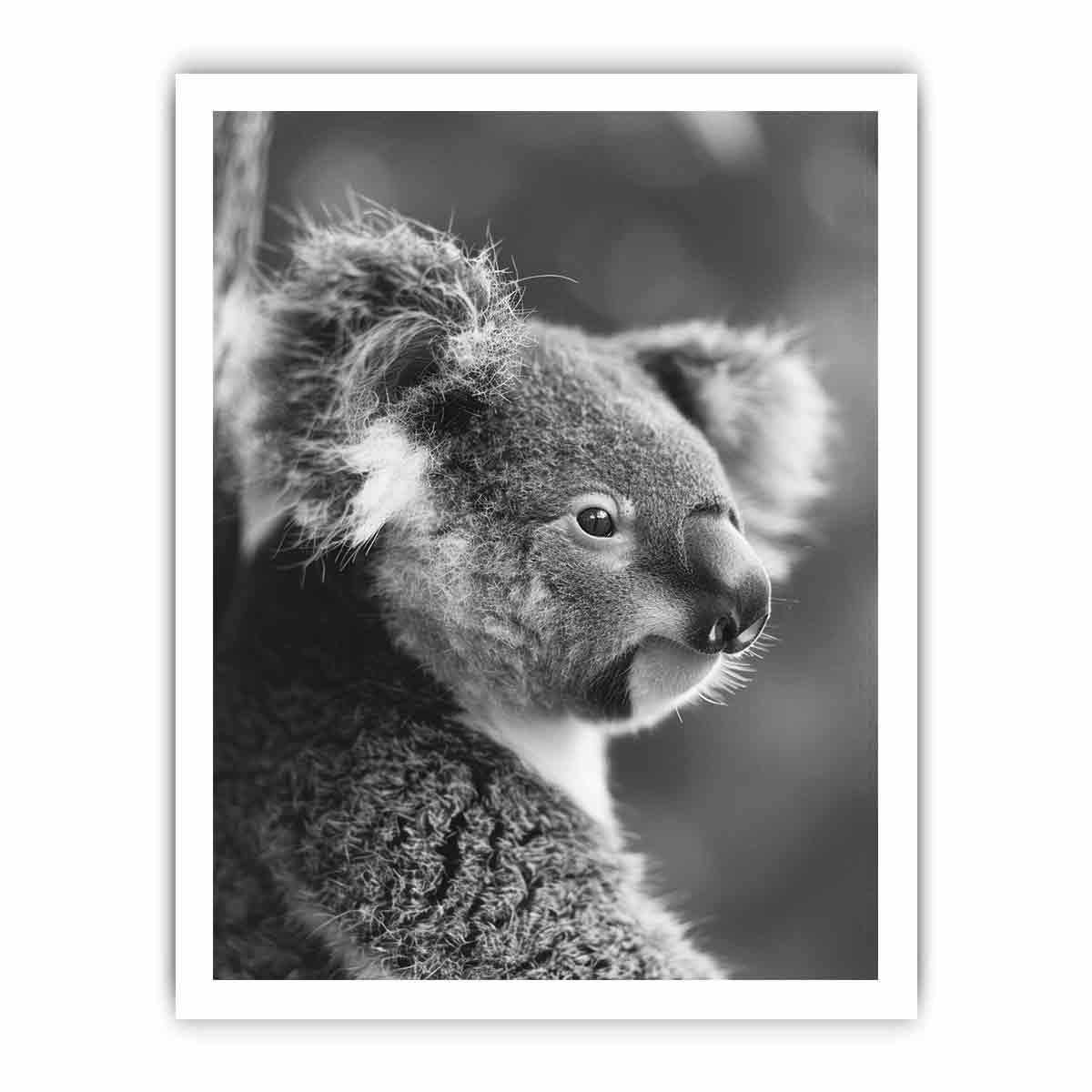 Baby Koala Canvas Art Print Photography art-8