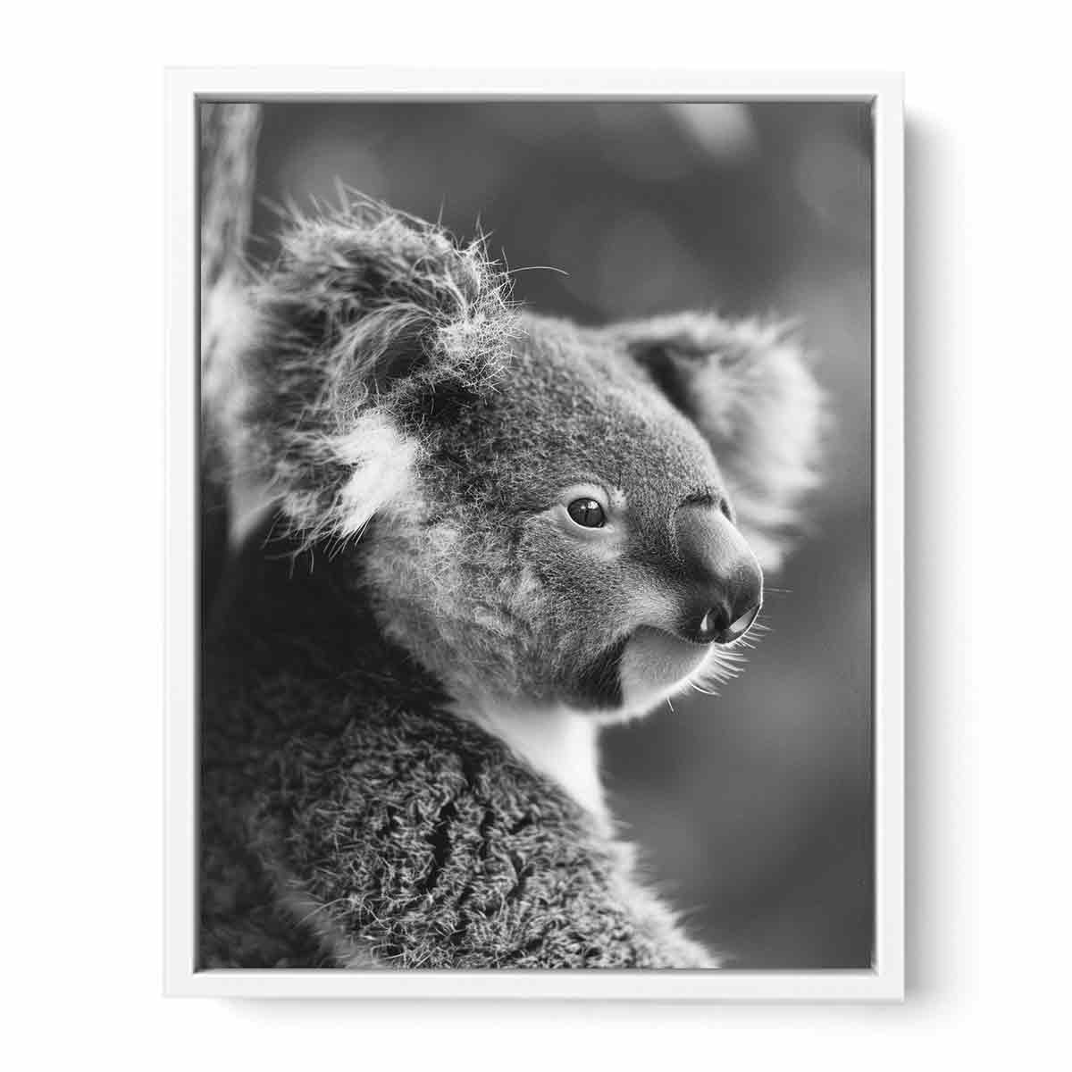 Baby Koala Canvas Art Print Photography art-5