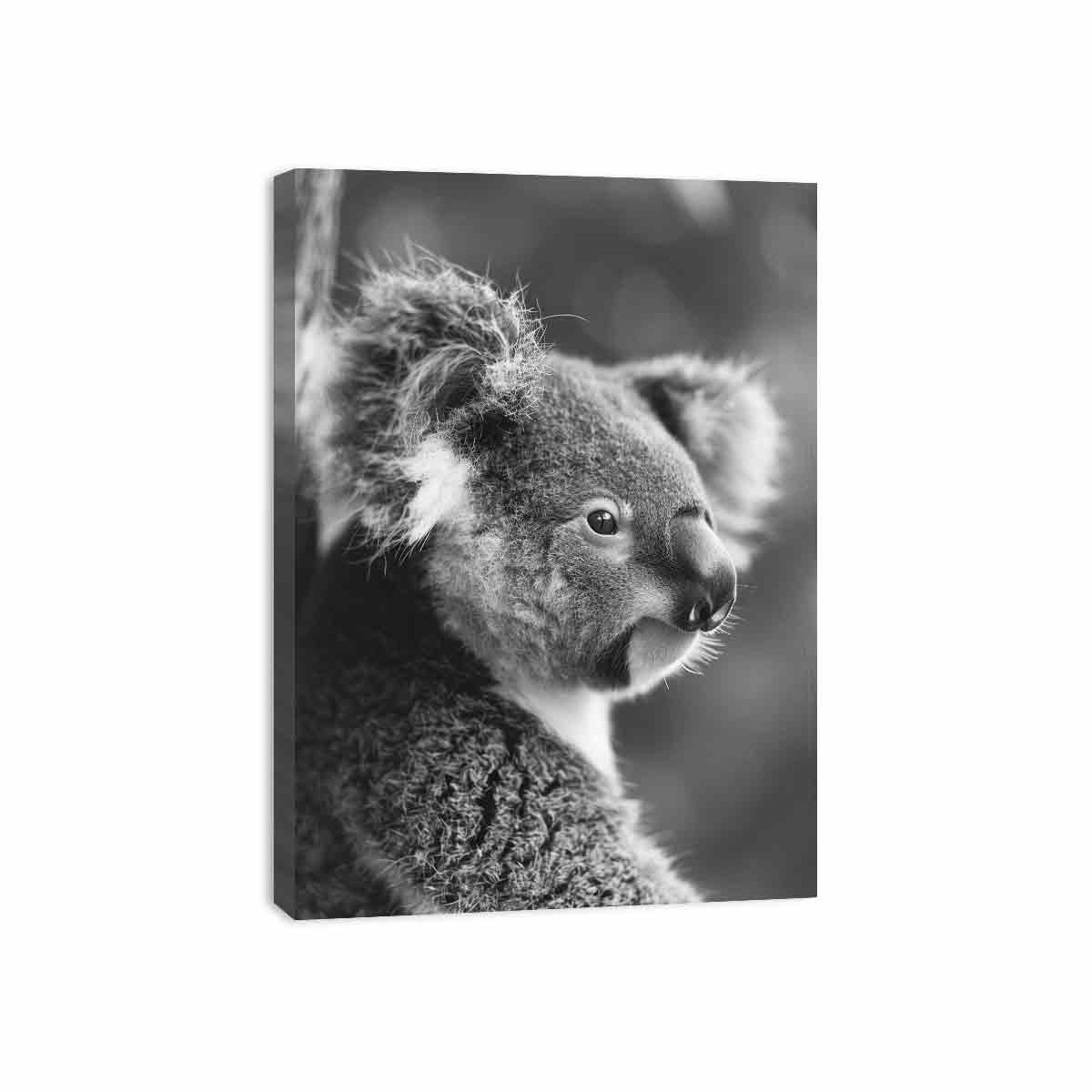 Baby Koala Canvas Art Print Photography art-3