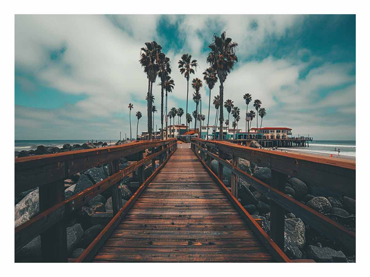 California Palm Trees Canvas Art Print-0