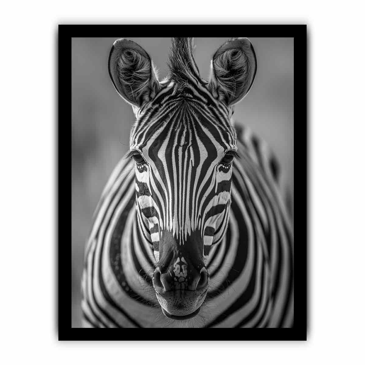 Zebra Stripes black & white Canvas Art Print-7