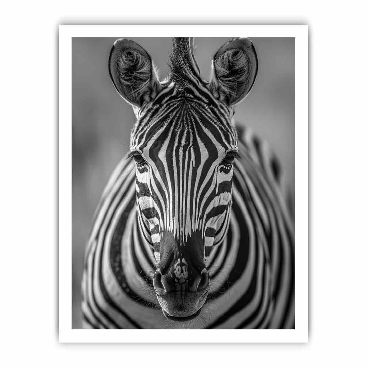 Zebra Stripes black & white Canvas Art Print-8