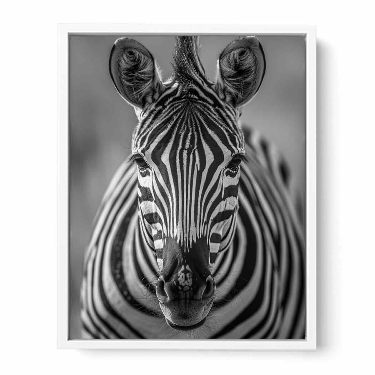Zebra Stripes black & white Canvas Art Print-5